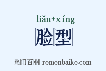 脸型是什么意思的图片